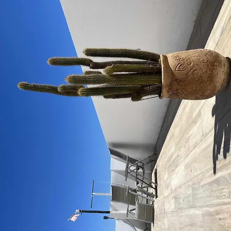 A Penthouse Da Joana Apartment *